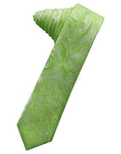 Load image into Gallery viewer, Sage Tapestry Satin Skinny Necktie