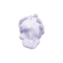 Load image into Gallery viewer, Foaming Body Scrub