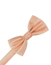 Load image into Gallery viewer, Champagne Herringbone Bow Tie