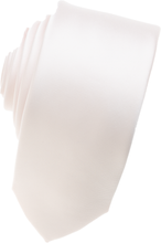 Load image into Gallery viewer, Blush Skinny Necktie