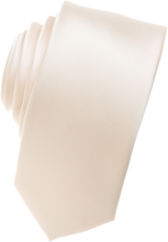 Load image into Gallery viewer, Tan Skinny Necktie