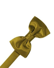 Load image into Gallery viewer, Ivory Luxury Satin Bow Ties