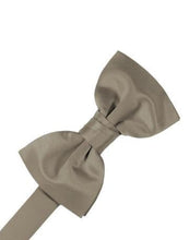 Load image into Gallery viewer, Ivory Luxury Satin Bow Ties