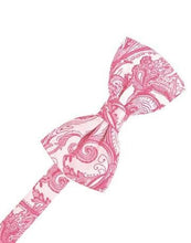 Load image into Gallery viewer, Ivory Tapestry Bow Ties