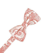 Load image into Gallery viewer, Ivory Tapestry Bow Ties