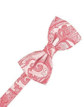 Load image into Gallery viewer, Ivory Tapestry Bow Ties