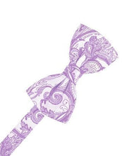 Load image into Gallery viewer, Ivory Tapestry Bow Ties
