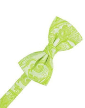 Load image into Gallery viewer, Ivory Tapestry Bow Ties