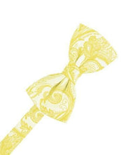 Load image into Gallery viewer, Ivory Tapestry Bow Ties