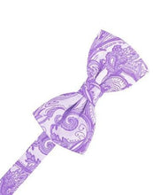 Load image into Gallery viewer, Ivory Tapestry Bow Ties