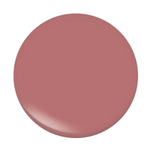 Load image into Gallery viewer, Lipgloss 103 embrace C
