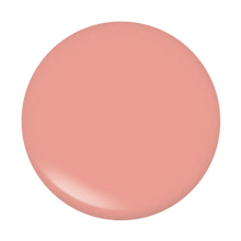 Load image into Gallery viewer, Lipgloss 196 its all that
