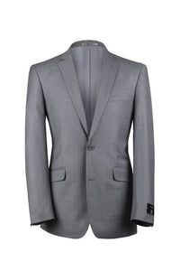 Light Grey Slim Fit 2 Pc Suit
