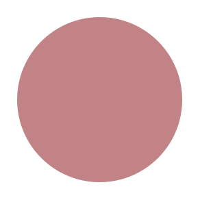 Blusher 338 First Blush