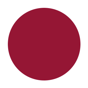 Liquid Velvet Lipstick 802 Validate