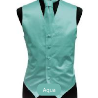 Aqua Mens Solid Vest