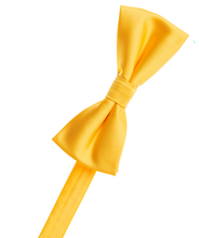 Load image into Gallery viewer, Irish Green Bow Tie
