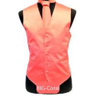 Big-Coral Mens Solid Vest