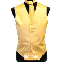 Big-Gold Mens Solid Vest