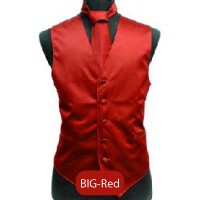 Big-Red Mens Solid Vest