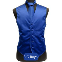 Big-Royal Mens Solid Vest