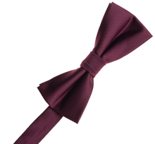 Load image into Gallery viewer, Dusty Rose Bow Tie
