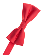 Load image into Gallery viewer, F. Red Bow Tie
