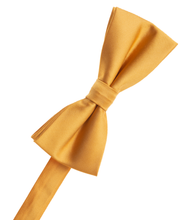 Load image into Gallery viewer, M. Gold Bow Tie
