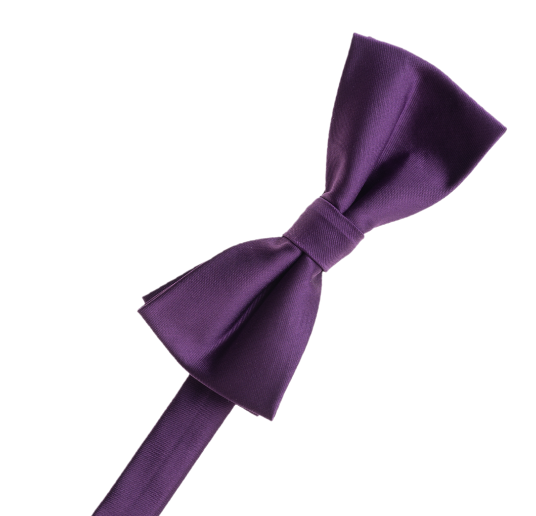 Grape Bow Tie
