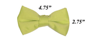 Modern Solid Bow Ties - Mint