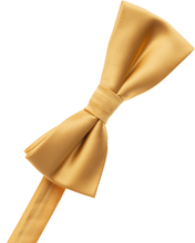 Load image into Gallery viewer, B. Gold Bow Tie
