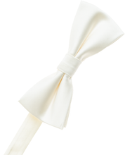 Load image into Gallery viewer, Off White Bow Tie
