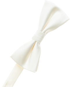 White Bow Tie