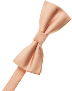 Taupe Bow Tie