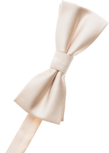 Load image into Gallery viewer, Irish Green Bow Tie
