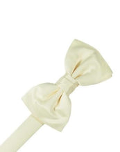 Load image into Gallery viewer, Bubblegum Luxury Satin Bow Ties
