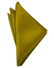Load image into Gallery viewer, Willow Luxury Satin Pocket Square
