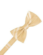 Harvest Maize Striped Satin Bow Tie
