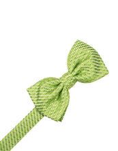 Load image into Gallery viewer, Autumn Venetian Pin Dot Bow Tie
