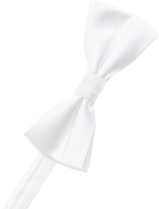 Fuschia Bow Tie