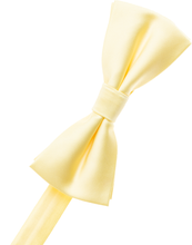Load image into Gallery viewer, Yellow Bow Tie
