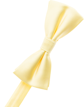 Load image into Gallery viewer, N. Blue Bow Tie
