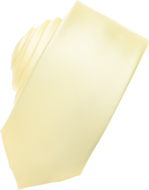Yellow Skinny Necktie
