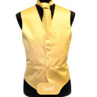 Gold Mens Solid Vest