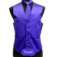 Purple Mens Solid Vest