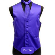 Purple Mens Solid Vest