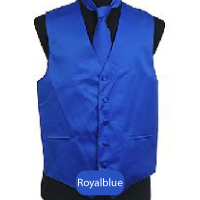 Royal blue Mens Solid Vest