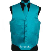 Turquoise Mens Solid Vest