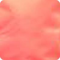 Modern Solid Pocket Squares Coral